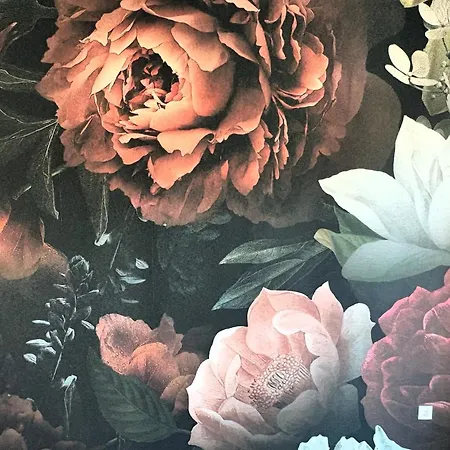 Beletage Luxury * 格拉茨
